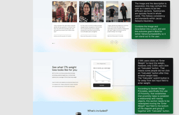 Client presentation - 3